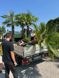 Amikor a mediterrán álom deres ébredéssé válik