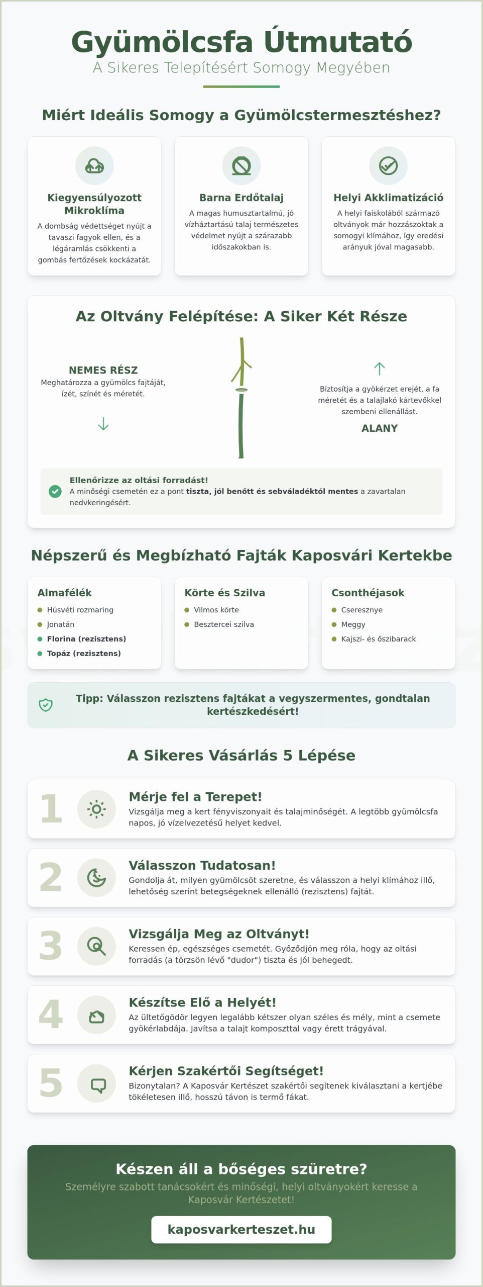 Gyümölcsfa oltványok Somogyban: Útmutató a sikeres telepítéshez 2026-ban