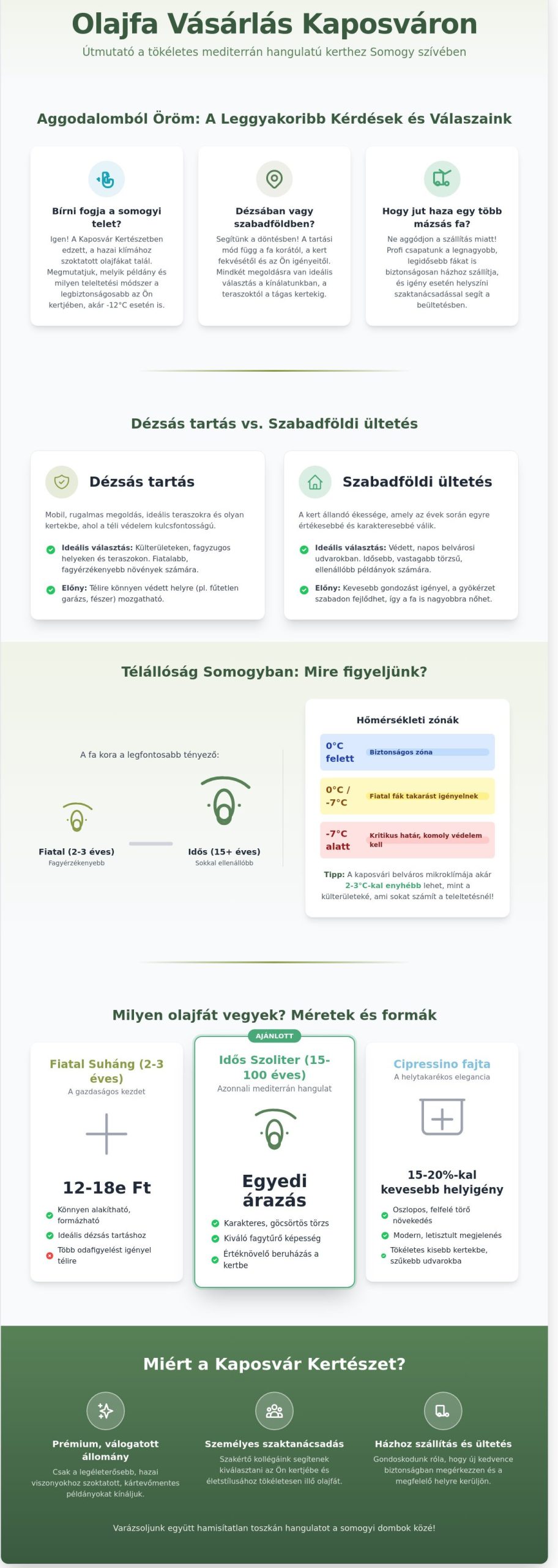 Olajfa vásárlás Kaposváron: Vásárlási útmutató a mediterrán hangulathoz