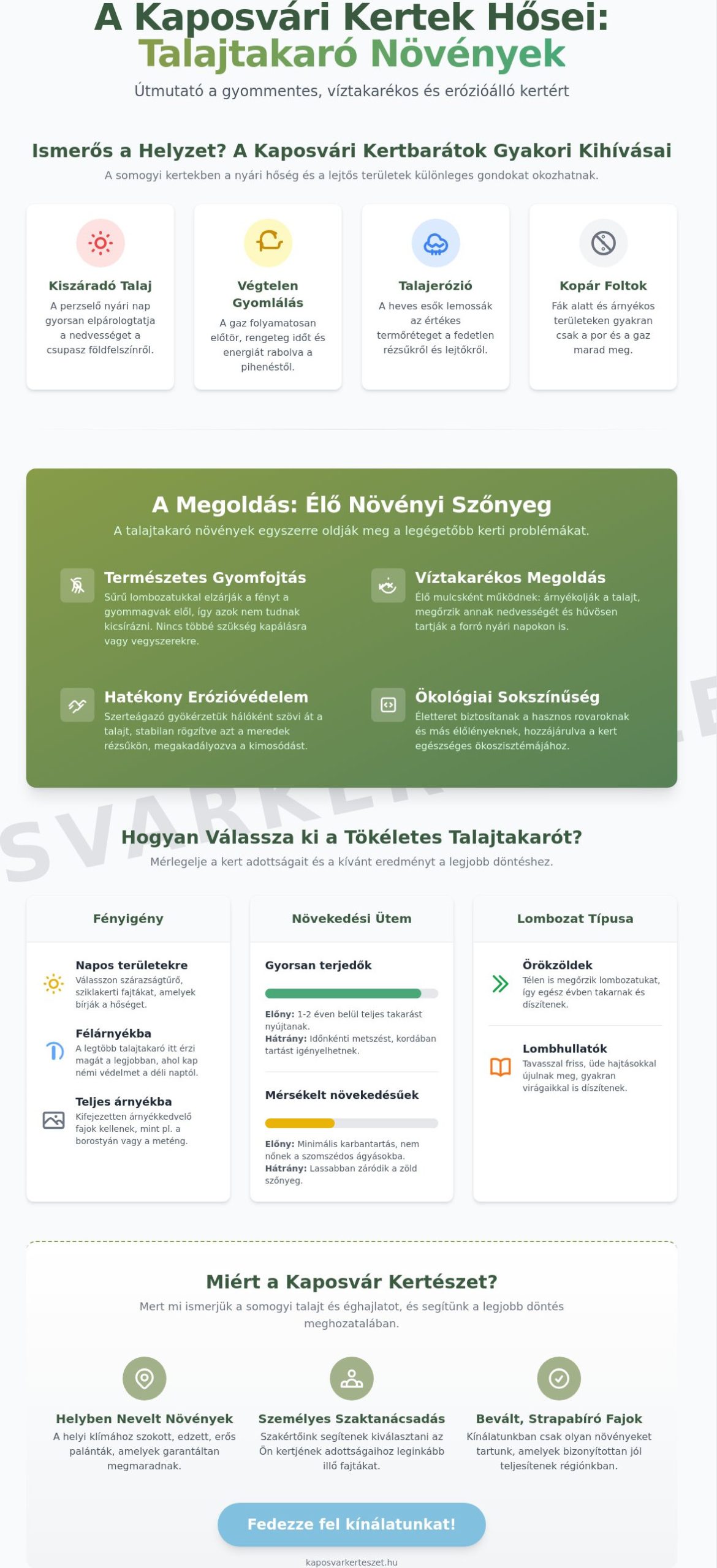Talajtakaró növények Kaposváron: A gyommentes és zöld kert titka 2026-ban