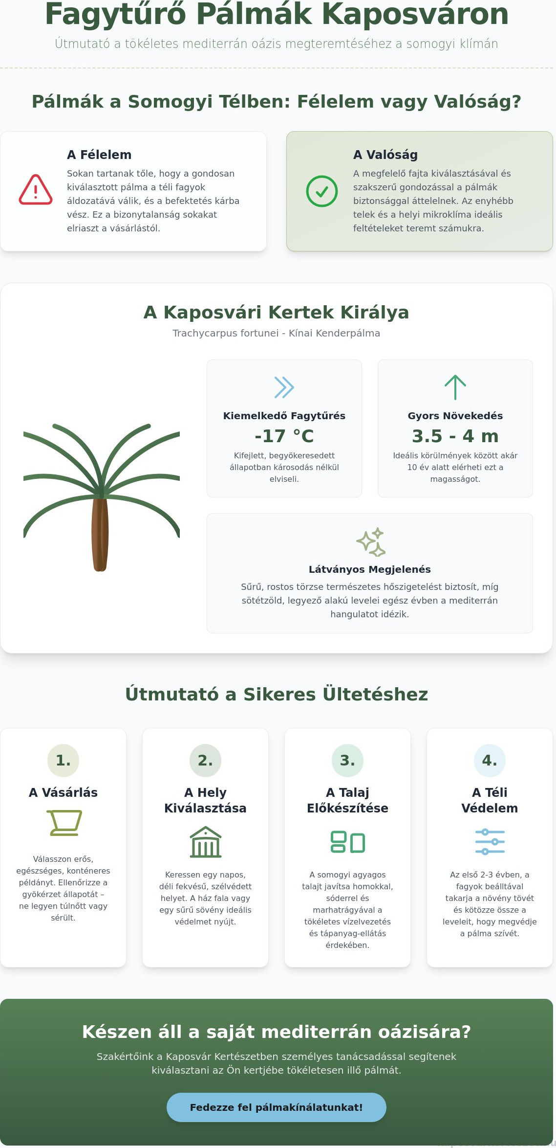 Fagytűrő pálma vásárlás Kaposváron: Mediterrán oázis a somogyi kertekben